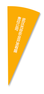 东升国际(中国区) - 官方网站