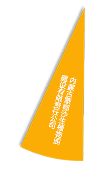 东升国际(中国区) - 官方网站