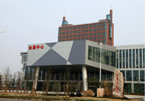 photo8