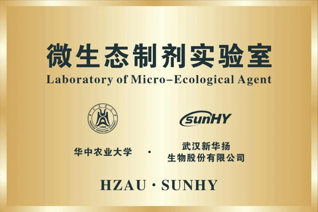 东升国际(中国区) - 官方网站