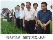 554b7e523b8d5 东升国际(中国区) - 官方网站