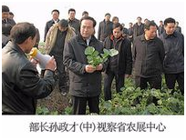 554b7e52d55d9 东升国际(中国区) - 官方网站