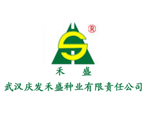东升国际(中国区) - 官方网站
