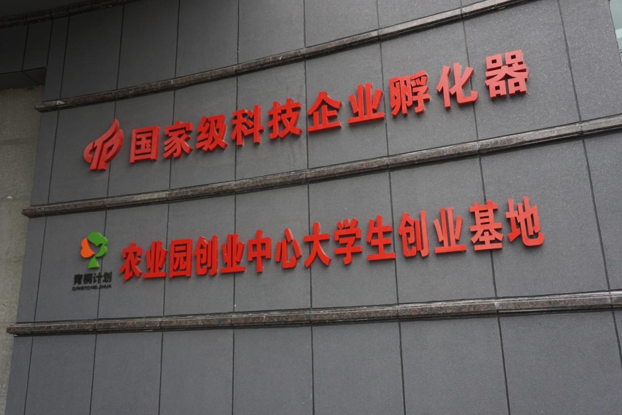 东升国际(中国区) - 官方网站