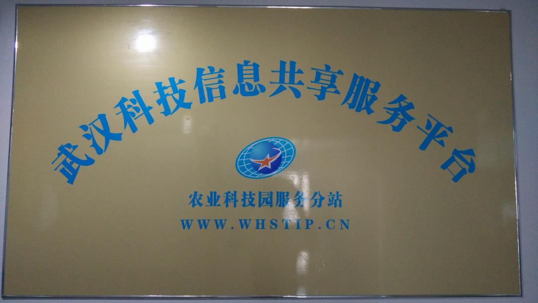 东升国际(中国区) - 官方网站