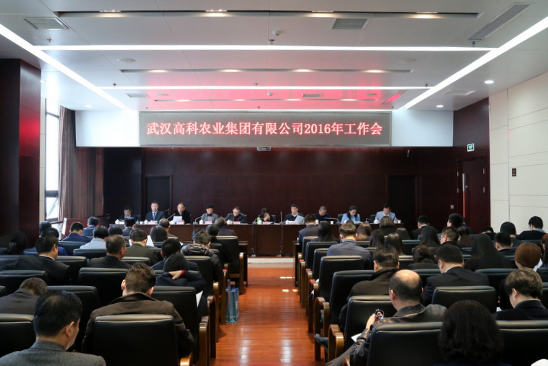 东升国际(中国区) - 官方网站