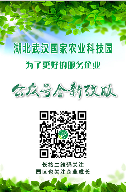 东升国际(中国区) - 官方网站