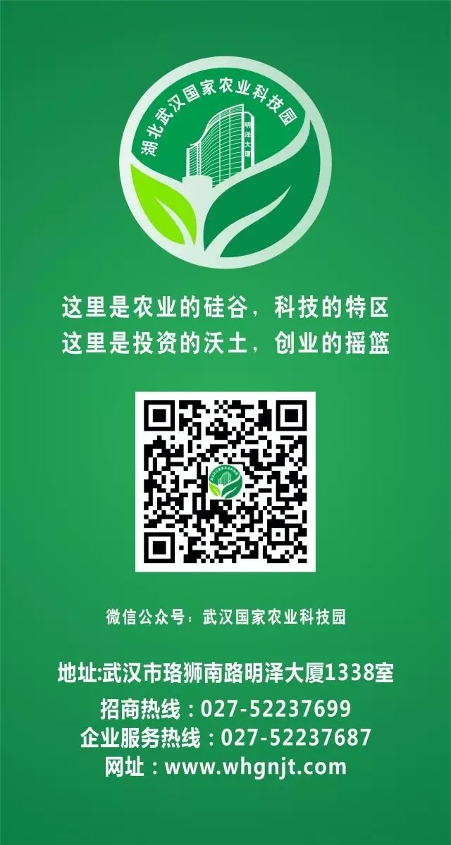 东升国际(中国区) - 官方网站