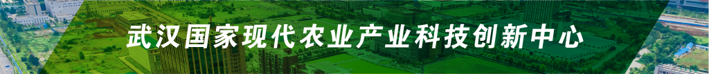 东升国际(中国区) - 官方网站